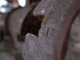 IMG_4594.CR2