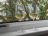 20160617_180124.jpg