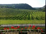 20160624_173636.jpg