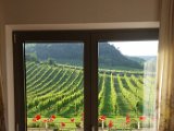 20160624_180723.jpg