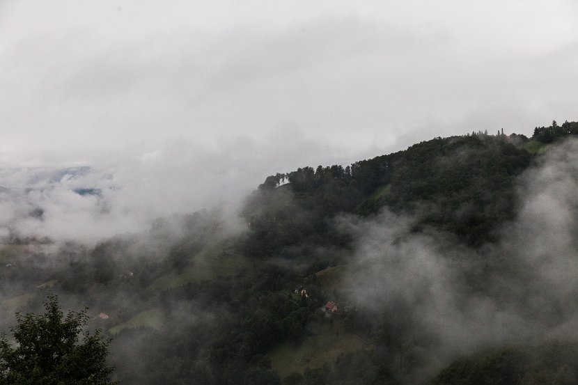 IMG_2259
