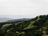 IMG_2162.jpg