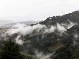 IMG_2164.jpg