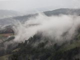 IMG_2173.jpg