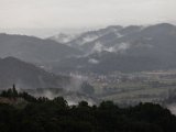 IMG_2175.jpg