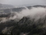 IMG_2182.jpg