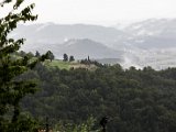 IMG_2186.jpg