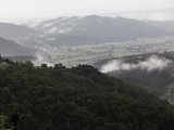 IMG_2188.jpg