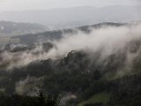 IMG_2193.jpg