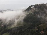 IMG_2195.jpg