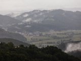 IMG_2202.jpg