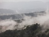 IMG_2205.jpg
