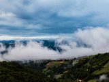IMG_2211.jpg