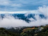 IMG_2214.jpg