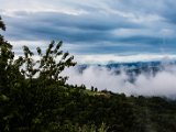 IMG_2216.jpg