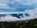 IMG_2219.jpg