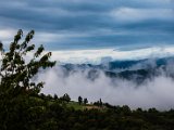 IMG_2221.jpg
