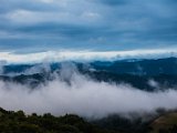 IMG_2222.jpg