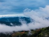 IMG_2225.jpg