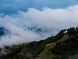 IMG_2227.jpg