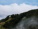 IMG_2229.jpg