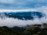 IMG_2231.jpg