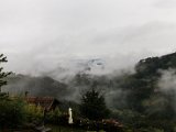 IMG_2255.jpg
