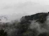 IMG_2259.jpg