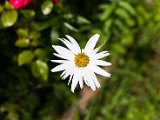 IMG_2296.jpg