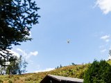 IMG_2341.jpg