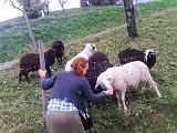 20161025_171626.jpg