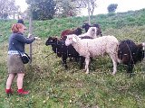 20161025_171640.jpg