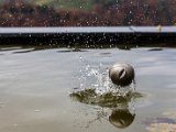 IMG_1135.jpg