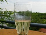 20160605_104732.jpg