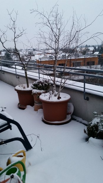 20160105_073317