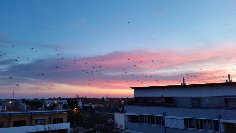 20160207_065559