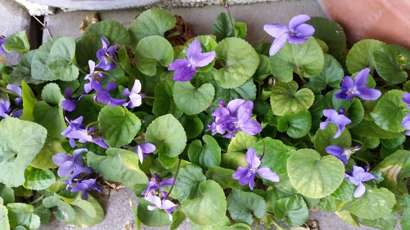 20160310_070959
