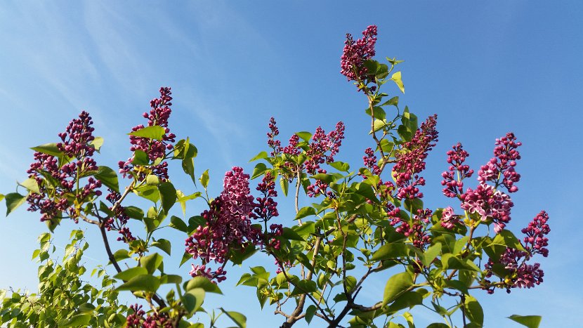 20160422_071511
