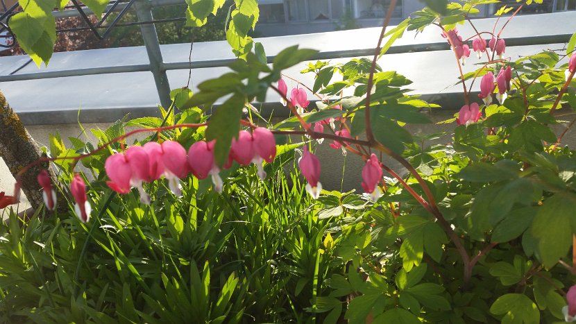 20160422_071540
