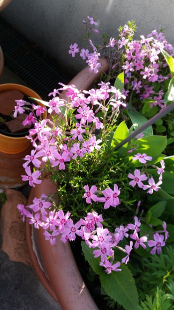 20160422_071556