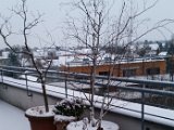 20160105_073317.jpg