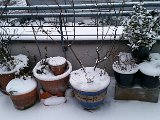 20160105_073323.jpg