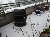 20160106_120910.jpg