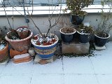 20160121_074704.jpg