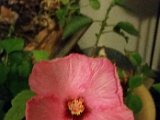 20160121_215642.jpg