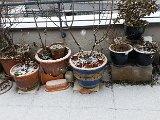 20160123_125113.jpg