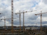 20160205_124730.jpg