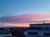 20160207_065559.jpg