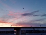 20160207_065616.jpg