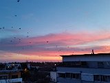 20160207_065628.jpg